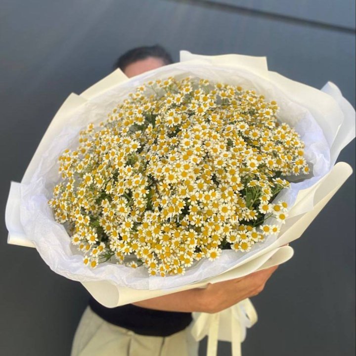Букет ромашек №2 в Ярославле