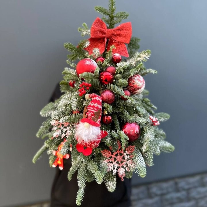 Новогодняя елочка "Ред" в Ярославле