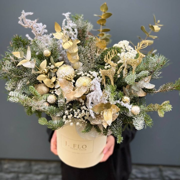 Золотой бокс с нобилисом в Ярославле