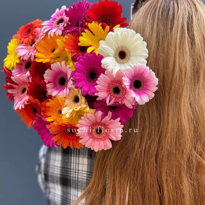 Охапка гербер  в Ярославле