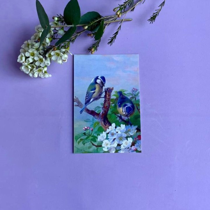 Открытка к букету "Птицы" в Ярославле