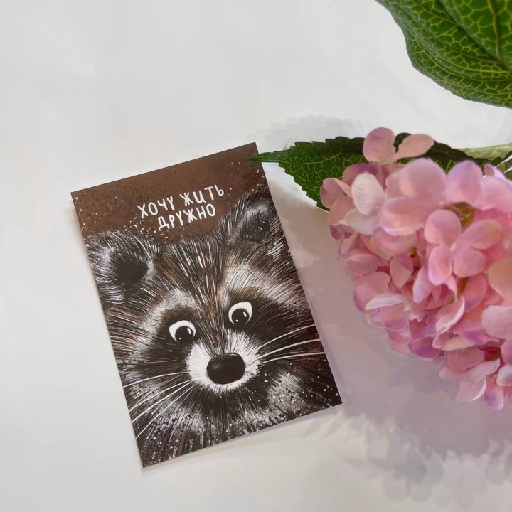 Открытка к букету "Енотик" в Ярославле