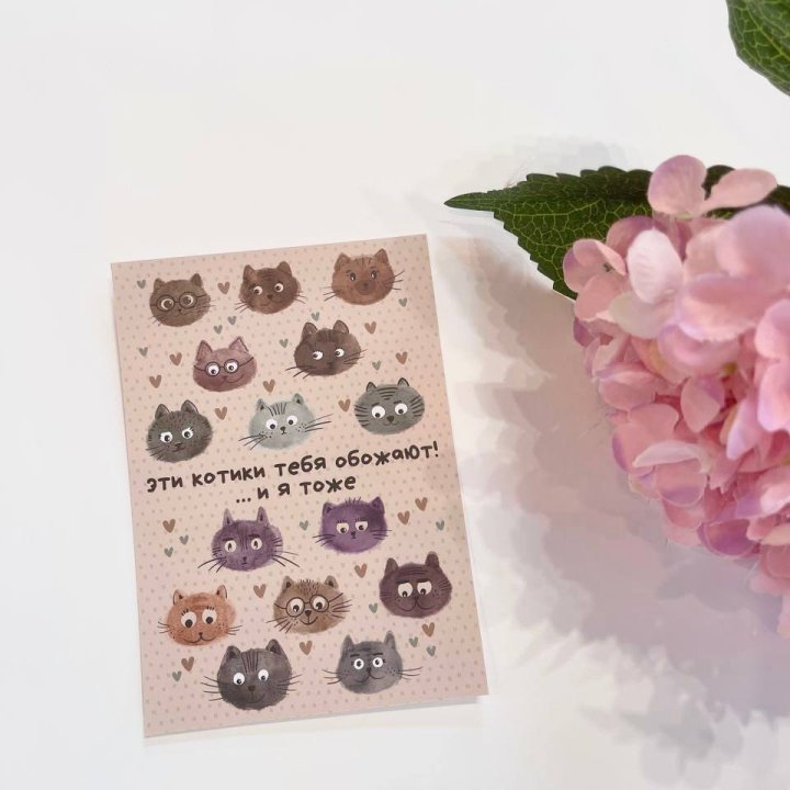 Открытка к букету "Котики" в Ярославле