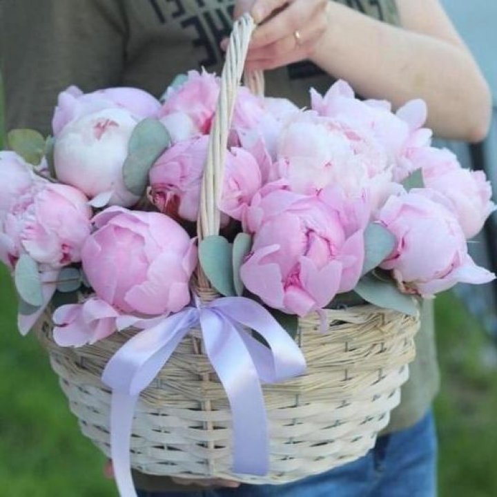 15 пионов в корзине в Ярославле