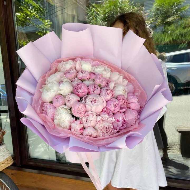 51 розовый пион в Ярославле