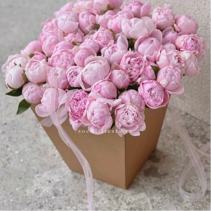 49 пионов в крафт коробке в Ярославле