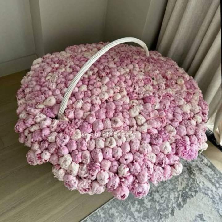 Корзина 555 пионов в Ярославле