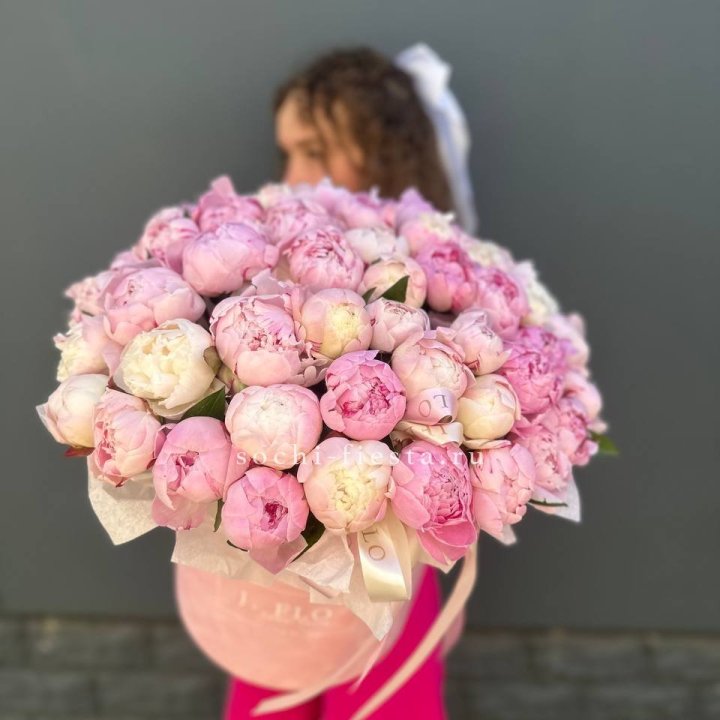 51 нежных пионов  в цилиндре в Ярославле