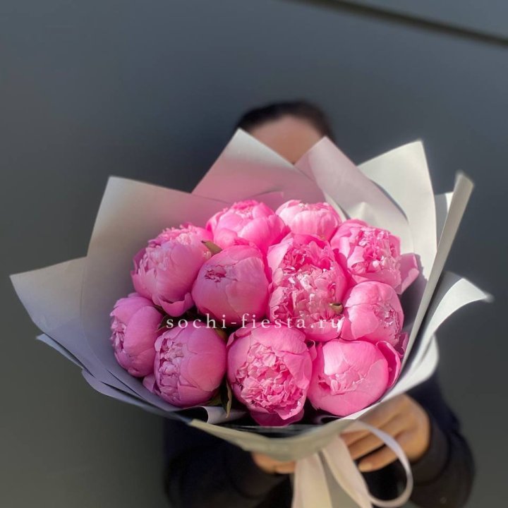 Пионы Алекс флеминг в Ярославле