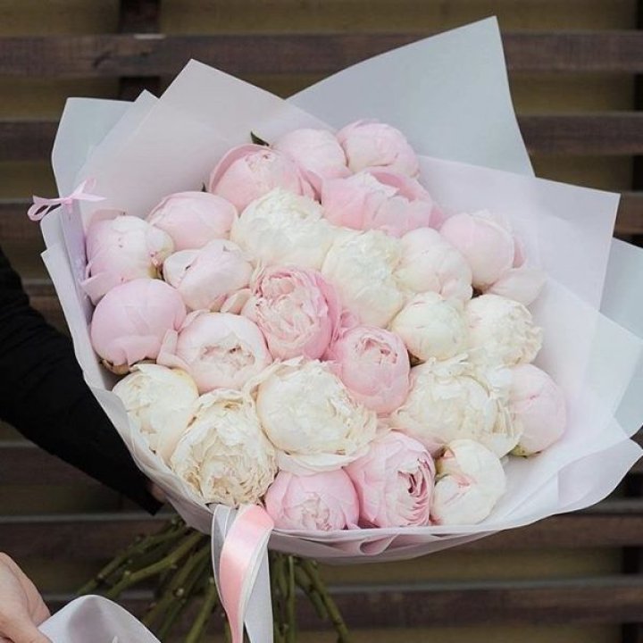 29 пионов в Ярославле