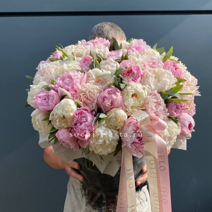 51 пионов в боксе в Ярославле