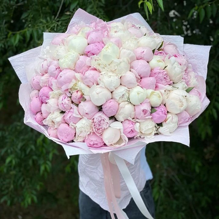 101 пион в Ярославле