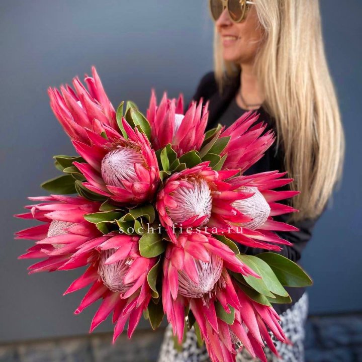 Протея штучно в Ярославле