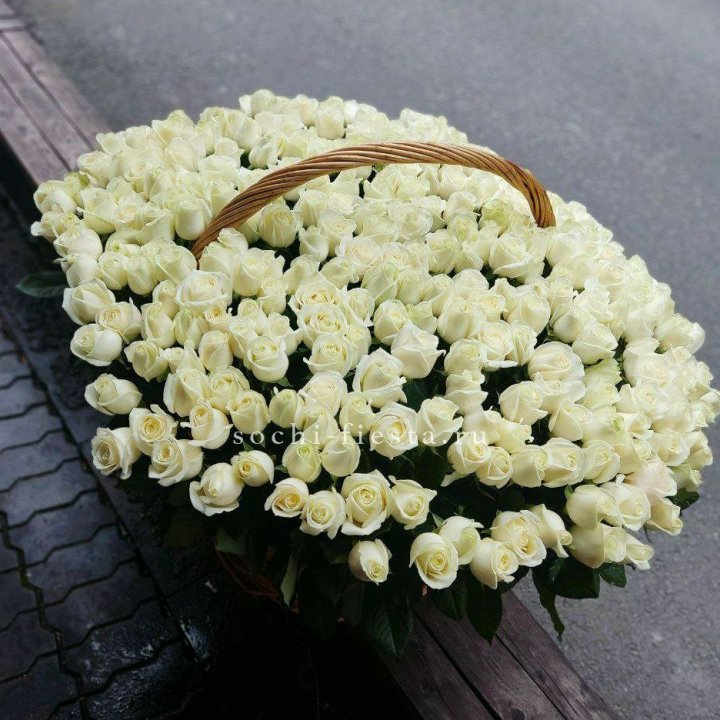 303 розы в корзине в Ярославле