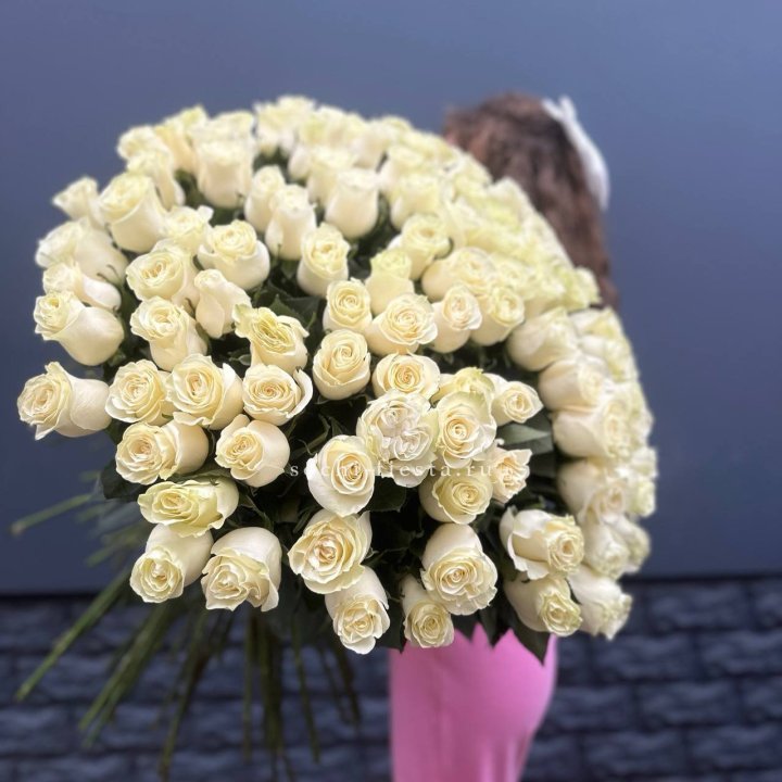 101 белая высокая импортная роза под ленту в Ярославле