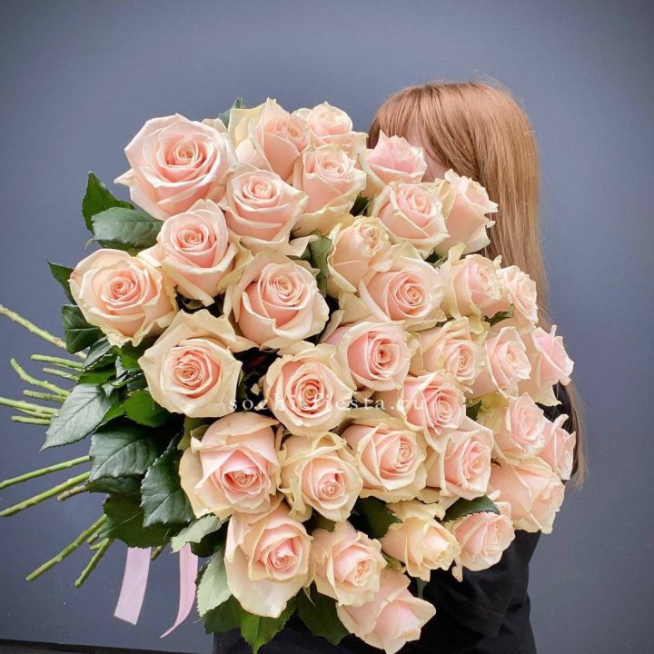 35 кремовых высоких роз в Ярославле