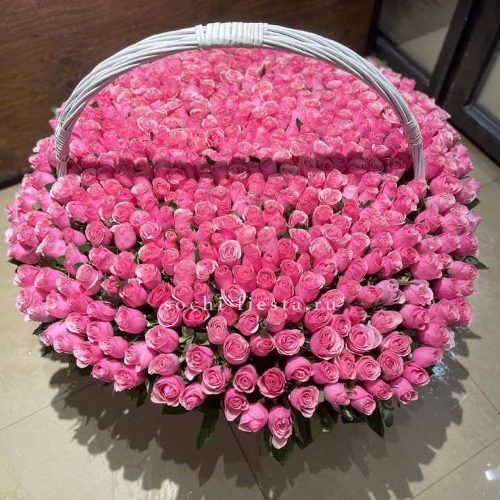 501 розовая роза в Ярославле