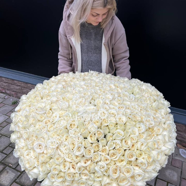 501 белая роза в корзине в Ярославле