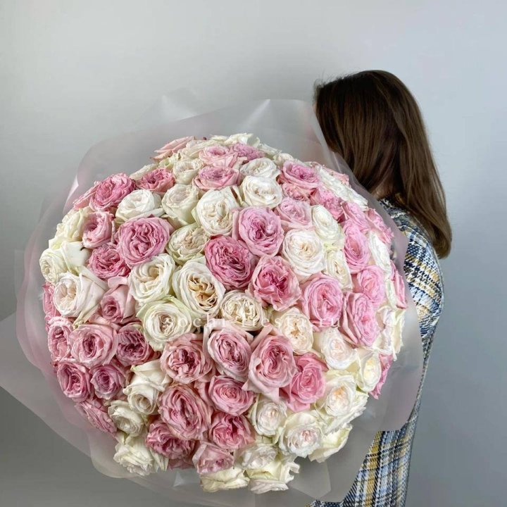 101 роз Охара в Ярославле