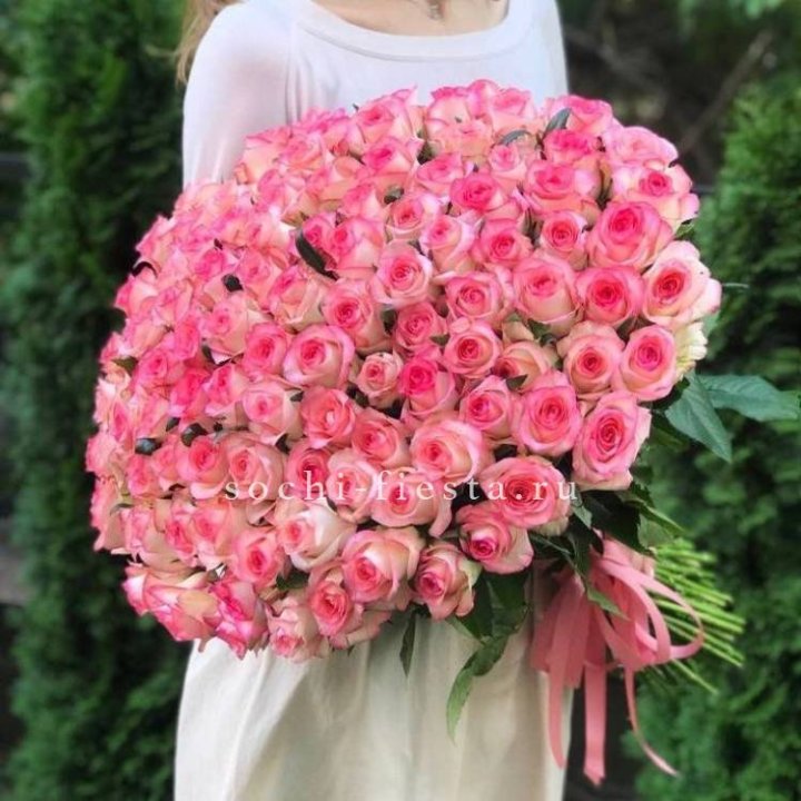 101  джумилия роза  в Ярославле