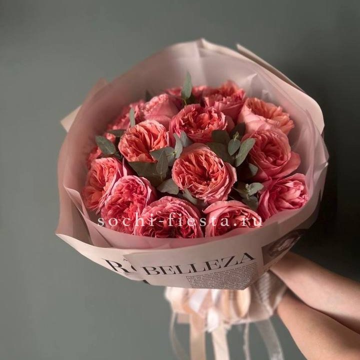 15 Пинк экспрешен в Ярославле