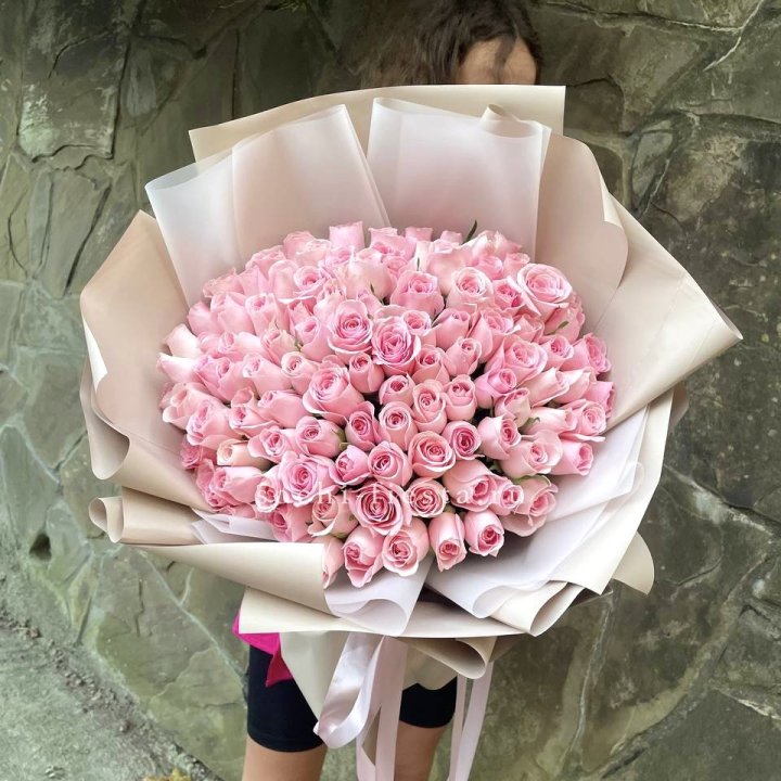 101 нежно-розовая роза Каролина  в Ярославле