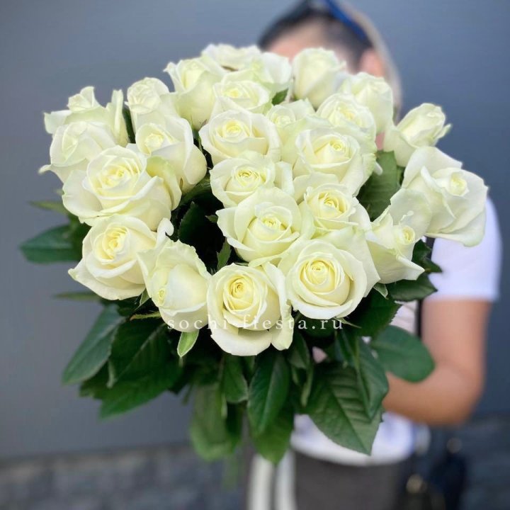 Голландские розы белые 25 с доставкой в Ярославле