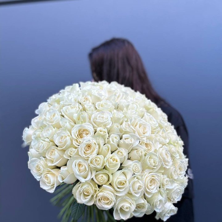 Охапка из 101 белой розы  в Ярославле
