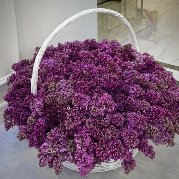 Корзина сирени в Ярославле