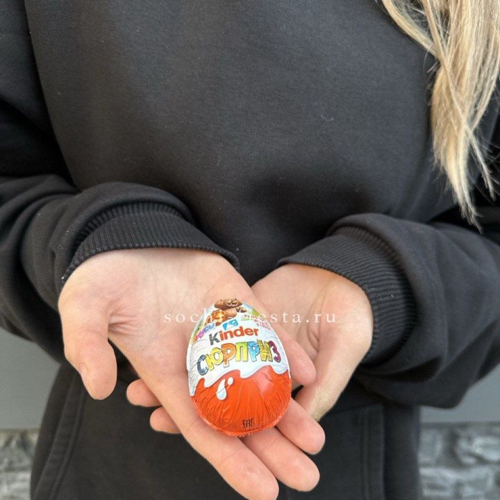 Яйцо "Киндер Сюрприз" в Ярославле