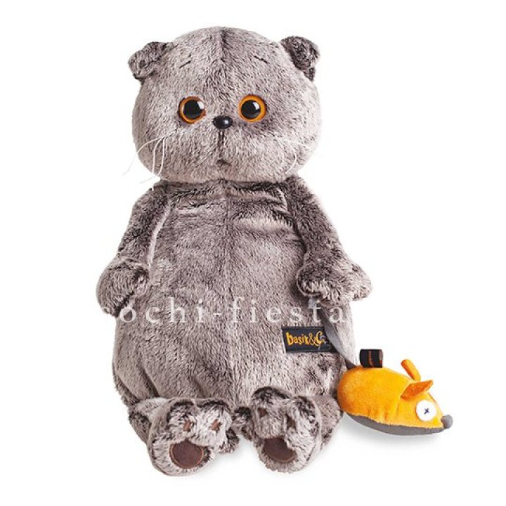 Кот Басик с мышкой в Ярославле