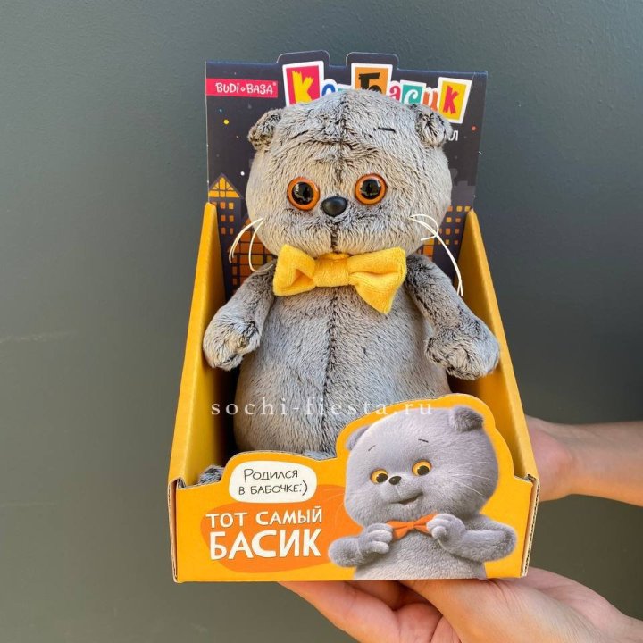 Кот Басик с бабочкой в Ярославле