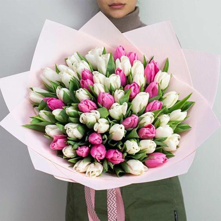 61 бело-розовый тюльпан в Ярославле