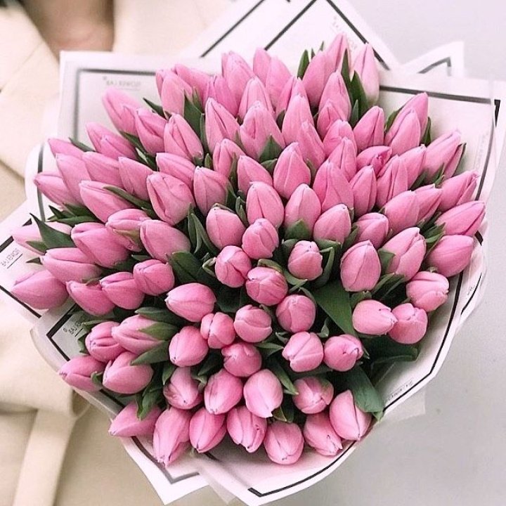 101 розовый тюльпан в белом в Ярославле