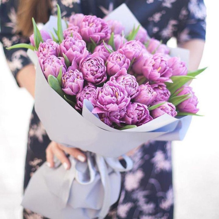 Тюльпаны "Пионс" в Ярославле