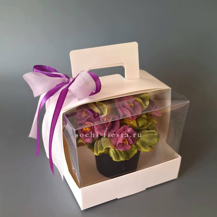  Зефир "Фиалка" в Ярославле